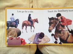 AIBU to think this children's picture book is a bit rude and like a junior Jilly Cooper bonkfest or have I got a mucky mind?