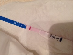 Jazz up your ROC, Invoke a Wankban, Shake your Beaver and Find Cupboard Love with the Just Shagging Viroids! Don't forget to Cup and Run...it's JS 38!