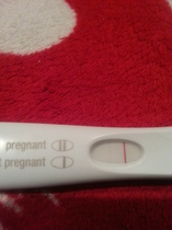 On Ofloxacin and Metronizadole for PID but think I might be pregnant!