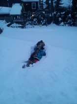 to want snow in London?