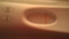 Jazz up your ROC, Invoke a Wankban, Shake your Beaver and Find Cupboard Love with the Just Shagging Viroids! Don't forget to Cup and Run...it's JS 38!