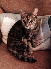 Name ideas for this little lady? (Cute pic attached)
