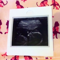 June 2015 - thread 7 - finding out our teams!! Pink/Blue/Yellow which are you?