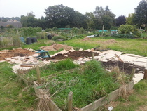 The 2015 Allotment / Veg Patch Thread - it's here!