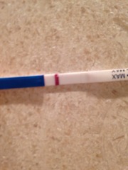 Jazz up your ROC, Invoke a Wankban, Shake your Beaver and Find Cupboard Love with the Just Shagging Viroids! Don't forget to Cup and Run...it's JS 38!