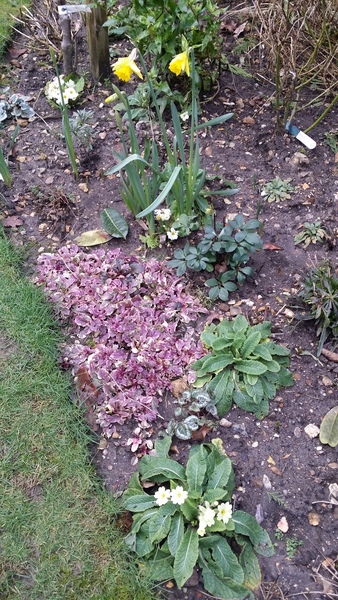 When the hounds of spring are on winter's traces…...