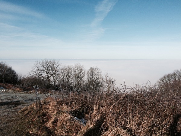 2015 Running Thread Part Two