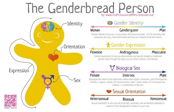 What's the difference between sex and gender?