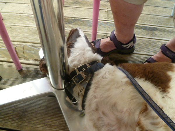 Unfair Treatment of Parent and toodler in Pub