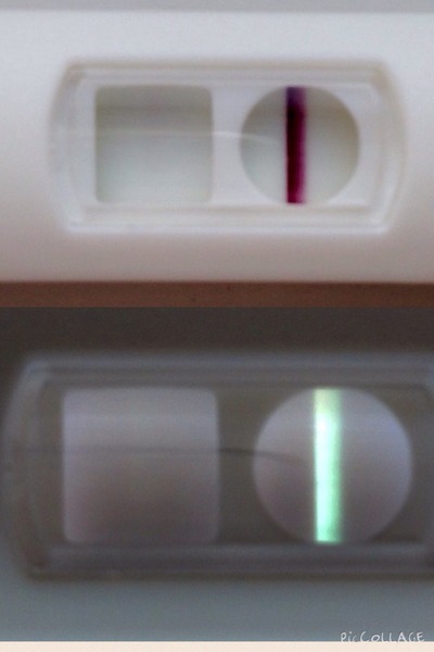 Bfp or evap?