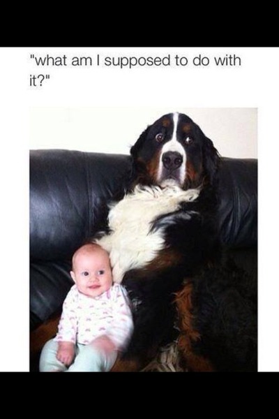 April 2015 Thread 11: The finish line is in sight as we get closer to maternity leave and our babies!