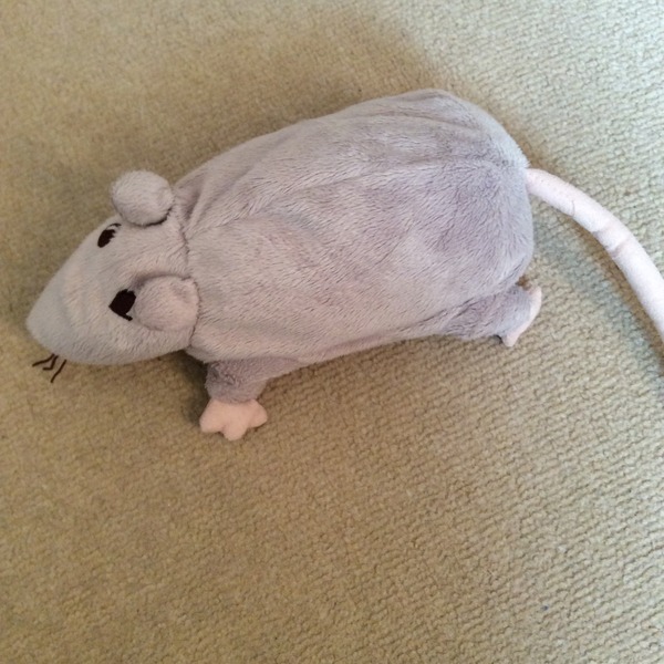Lost grey ikea rat in Redditch