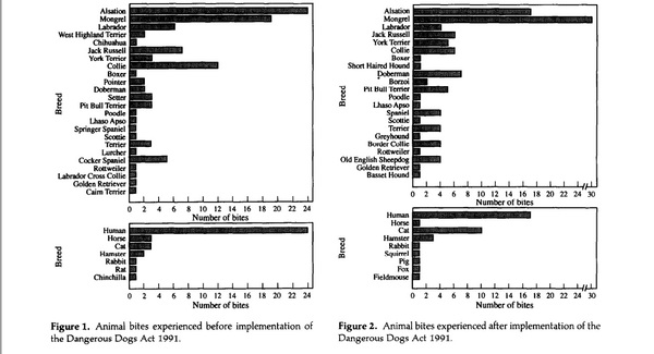 anyone own a American Staffordshire terrier