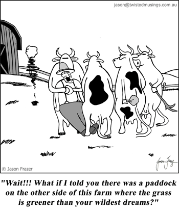 To think that cows have gone more aggressive.