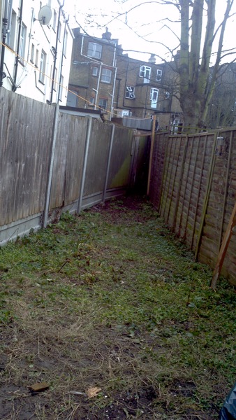 Help! Gardening 101 for this Idiot