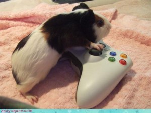 I am everything you hate about people on the internet. I am here to help.