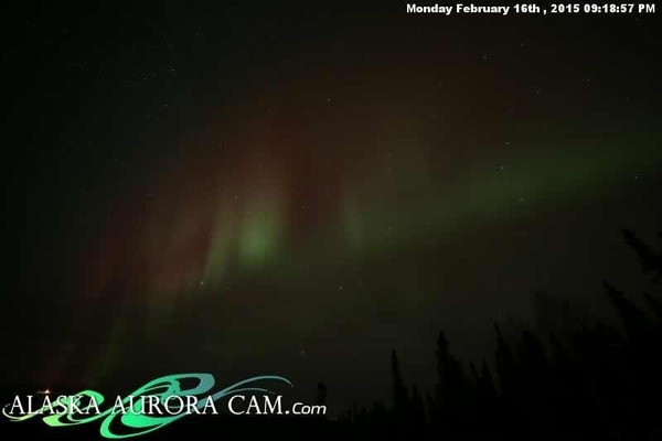 Armchair aurora watching