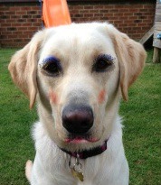 to think 99 percent of people would look better with a bit of tinted moisturiser, lip balm like vasaline,natural mascara and v light natural blusher