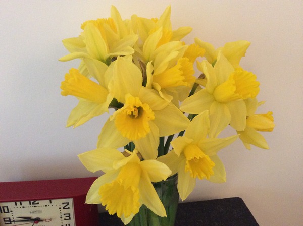 What made you smile today?