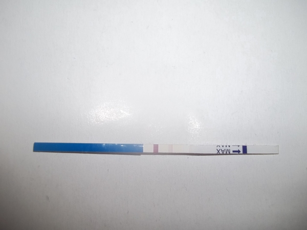 Jazz up your ROC, Invoke a Wankban, Shake your Beaver and Find Cupboard Love with the Just Shagging Viroids! Don't forget to Cup and Run...it's JS 38!