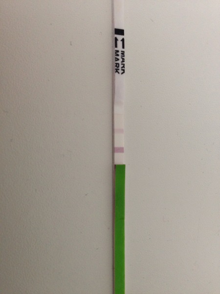 Positive ovulation test?