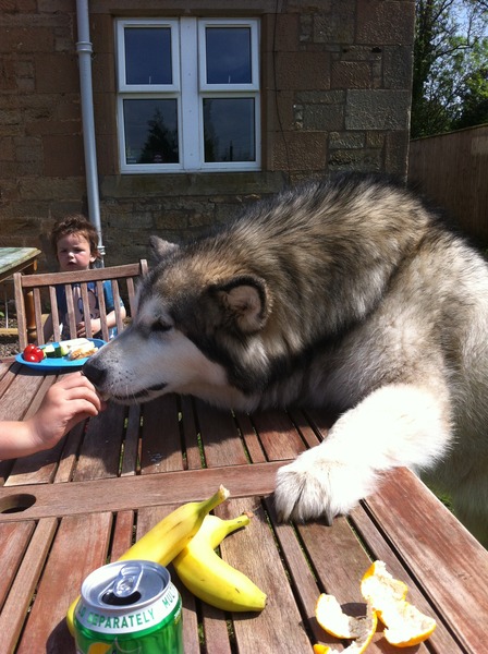 Frugal February continued....