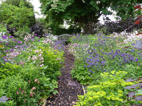Growing Flowers for May Wedding 2016