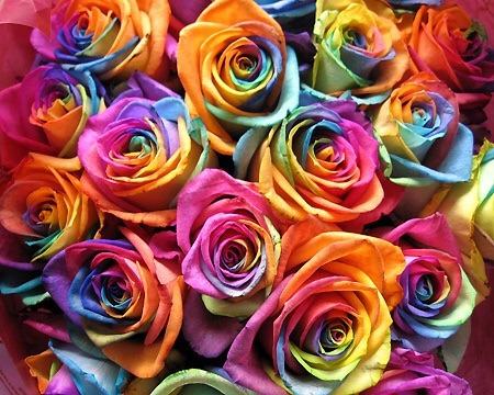 No flowers today from DH of 14 years - Aibu to be upset?