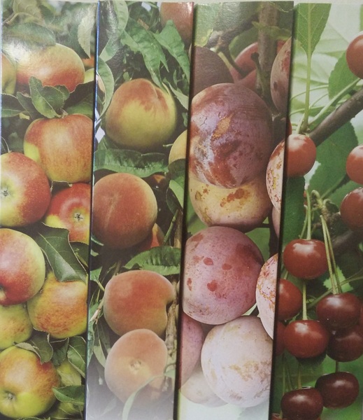 Decided to Become A gardener with this bargain