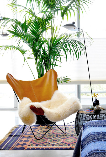 Does anyone know where I can buy this chair?