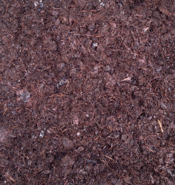 Well rotted manure