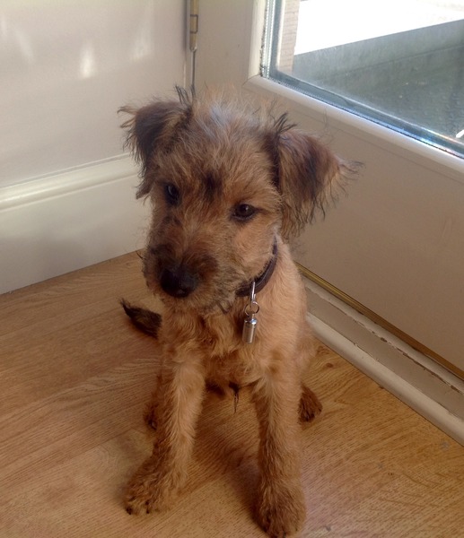 Anyone else starting a Beachbody workout programme? (T25, insanity etc)