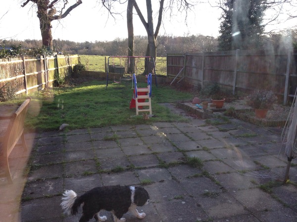 So I now have a garden..... What do I do to it??