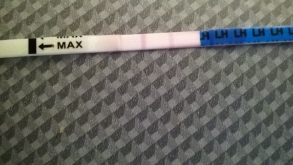 total headwreck, empty sac 11 days ago, embryo 6wk there today...