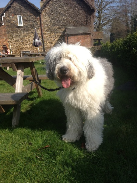 Unfair Treatment of Parent and toodler in Pub