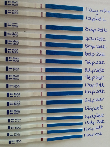 JSing Grads turn 21! We've got the Key to the door, cosy wombles and a drawer of dirty spoons.