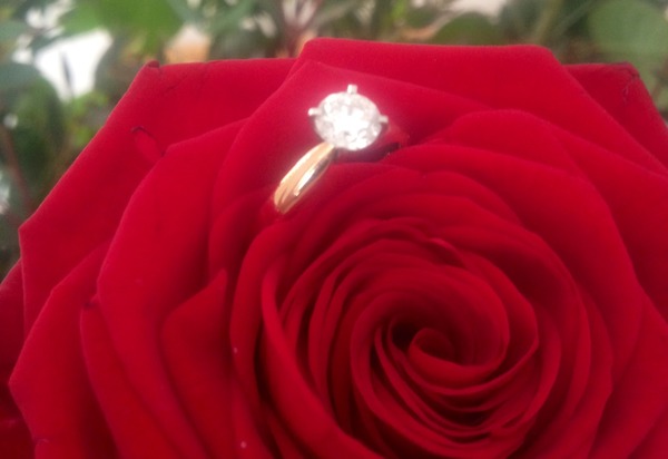 Engagement ring .. Erm help??