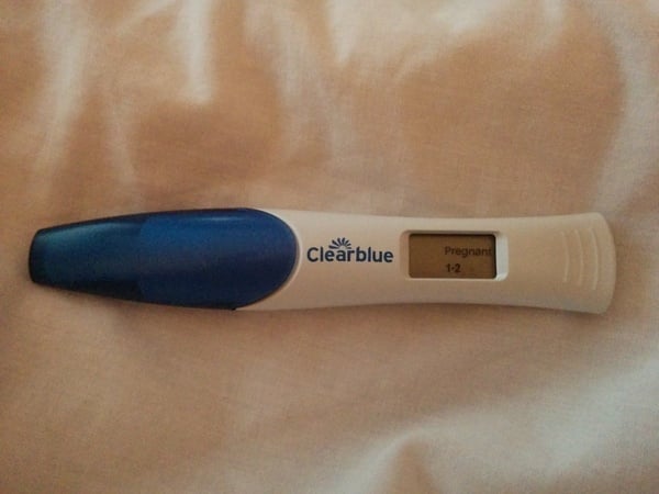 Jazz up your ROC, Invoke a Wankban, Shake your Beaver and Find Cupboard Love with the Just Shagging Viroids! Don't forget to Cup and Run...it's JS 38!