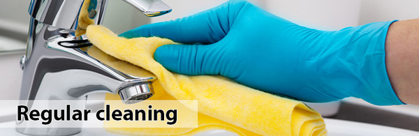 Domestic Cleanig