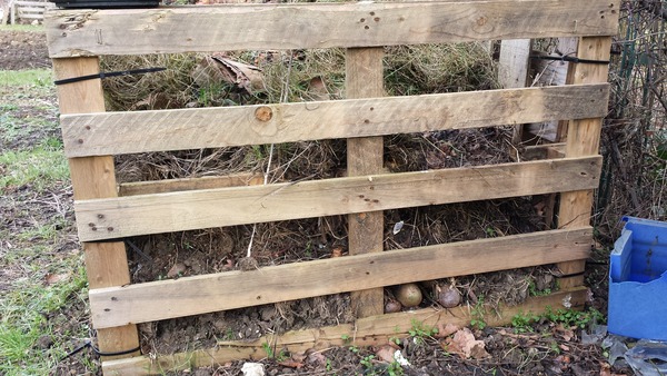 The 2015 Allotment / Veg Patch Thread - it's here!