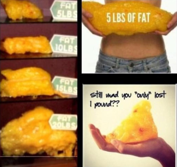 5:2 Thread number 49: Have you gained & lost the same 20 lb so often that your cellulite has déjà vu ? Or want to dump several stone of ballast (not just STBX) ? Whatever your goals, join us !