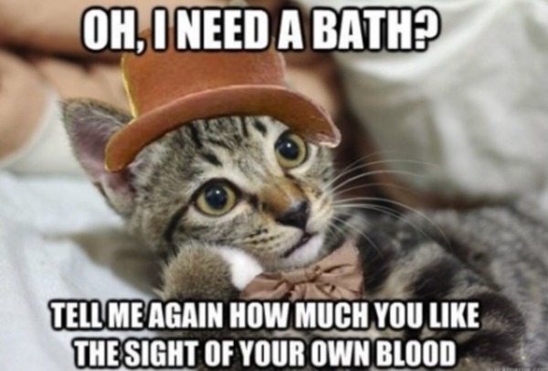 To bath the cat! Has been staying at a smokers house