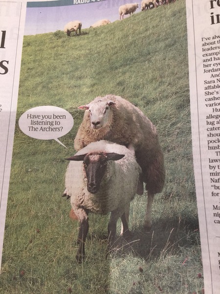 As another voice actor does a bunk in the night, is he watching them all with the eyeeeeeee .... of the TIGER? Bring back Matt unadulterated to The Archers NOW.