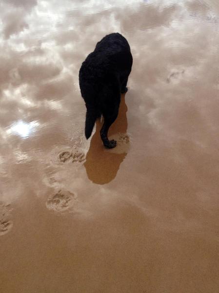 The Brave Babes Battle Bus - Starting the New Year in Fine Style