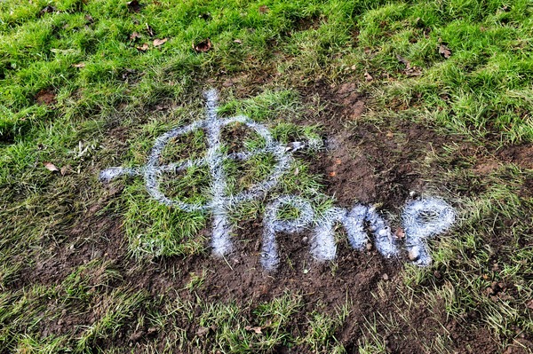 Fight 12.5m telephone mast for Park Road - 20 days to respond