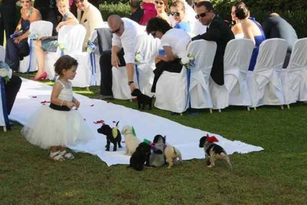 to laugh at this second-hand wedding drama?