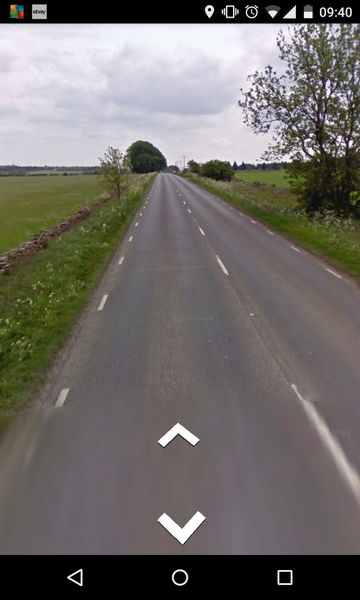 I've just ran over a pheasant :(