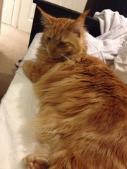 Don't let your clits get twitchy and do anything to avoid a boil in the bag fanny. BFP wholesale van rolling in to deliver to all the viroids - no superstition, JUST SHAGGING! (Part 39)