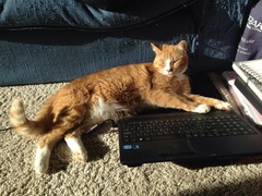 Don't let your clits get twitchy and do anything to avoid a boil in the bag fanny. BFP wholesale van rolling in to deliver to all the viroids - no superstition, JUST SHAGGING! (Part 39)