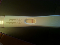 Please can anyone see anything or have I lost my mind? We're on our 12th cycle :(